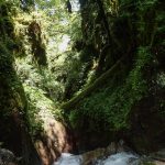 Départ en canyoning dans le moulin de Roubion près d'Isola 2000